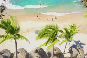 A beach with palm trees and rocks. - Star Palace Hotel (Mazatlán)