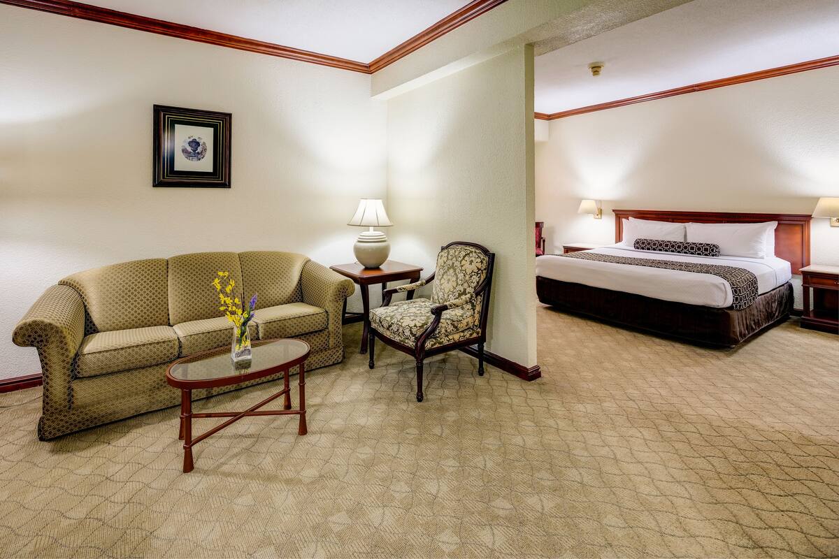 Una habitación de hotel con cama, sofá, sillón, mesita y lámpara.