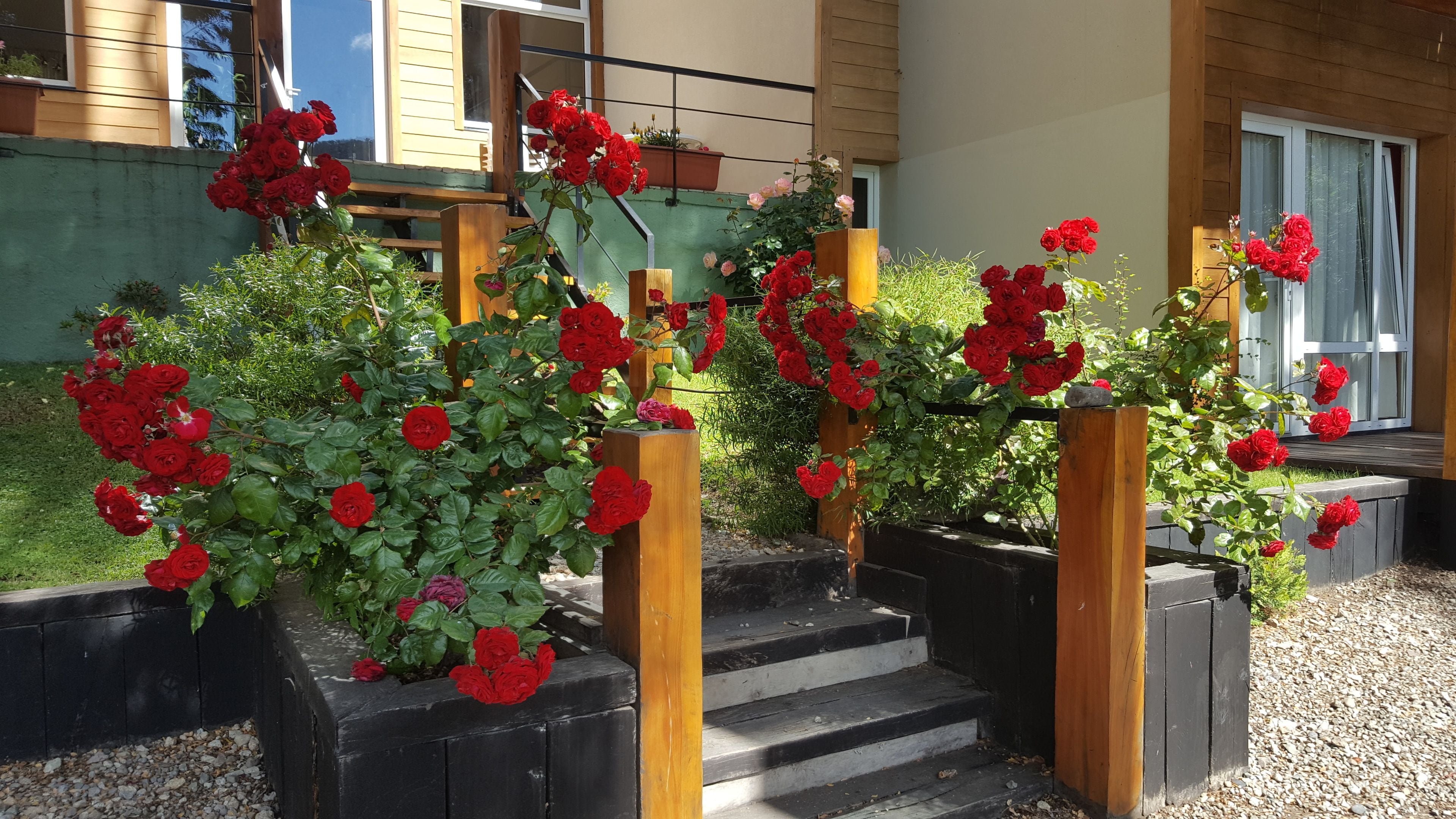 Photo - Refugio del Lago