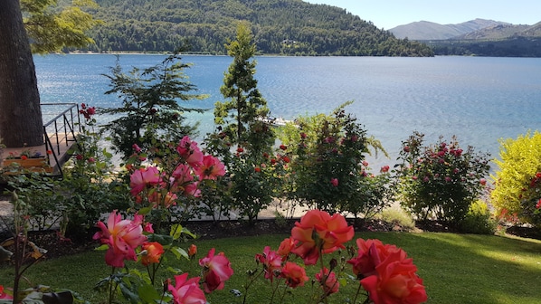 En trädgård med blommande rosor och utsikt över en sjö och berg.