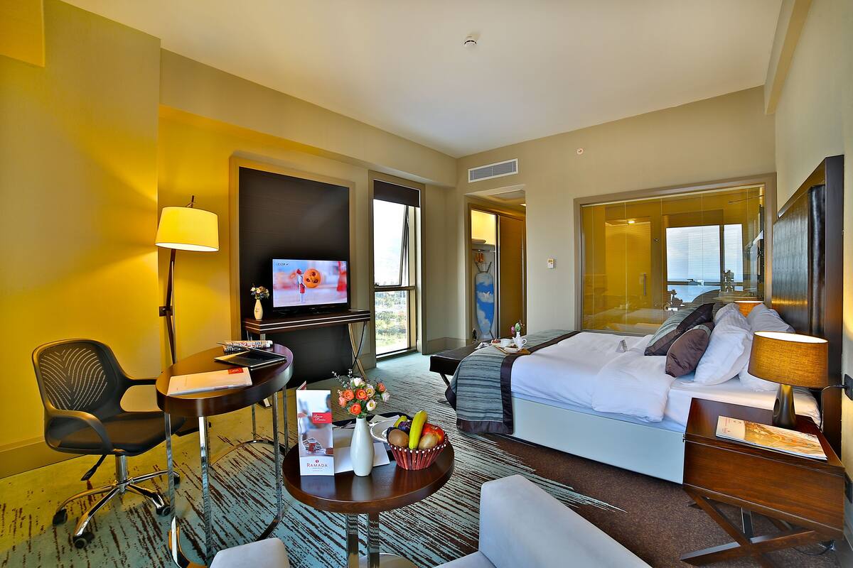 A hotel room with a bed, a desk, a chair, a TV, and a view of the outdoors.