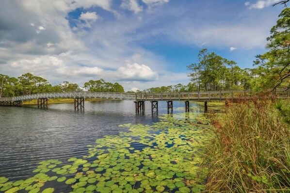 A bridge over a body of water with lily pads and surrounding vegetation.
