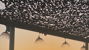 A seaside restaurant with outdoor seating, a large umbrella, and hanging lights. - Eco Hostel - Tribo da Praia (Peniche)