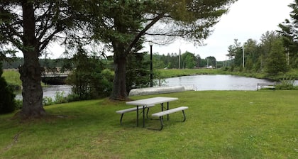 Bear Paw Inn