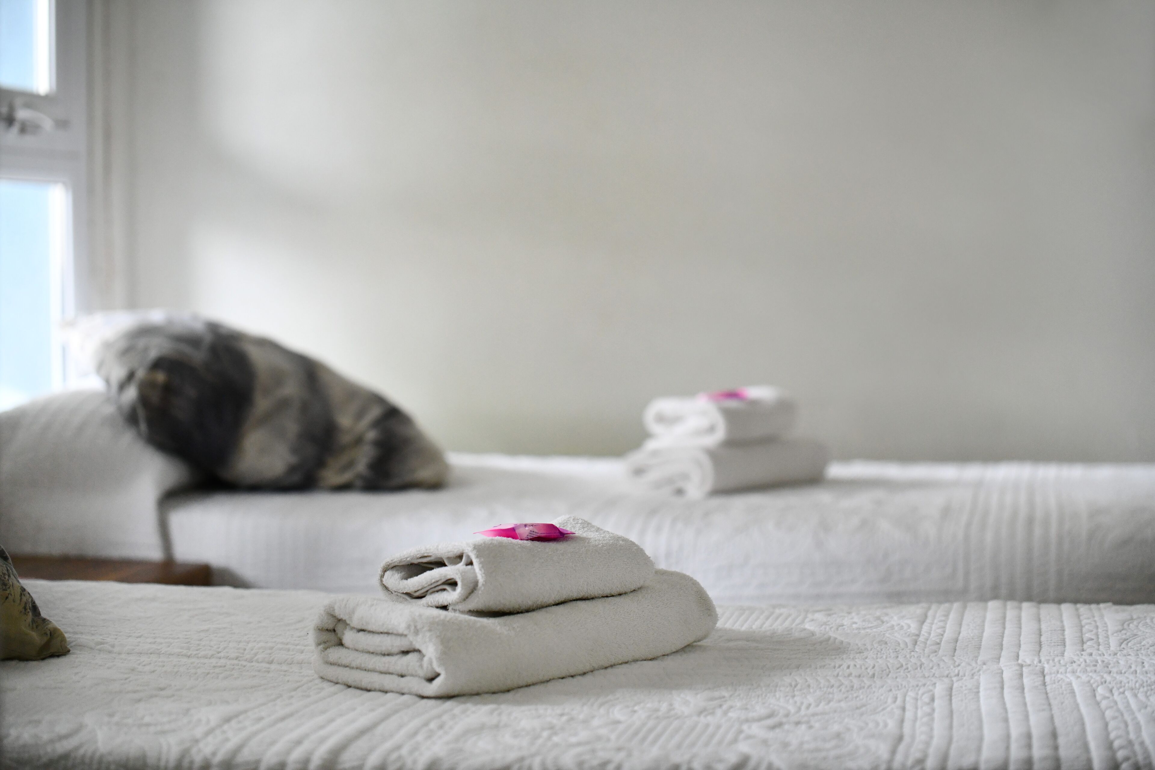 Una cama bien hecha con toallas dobladas y un edredón enrollado, una almohada y un gato sentado en la cama.