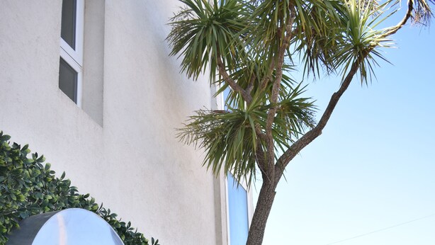 Un letrero metálico grande con el número '2', un seto y una palmera en primer plano.