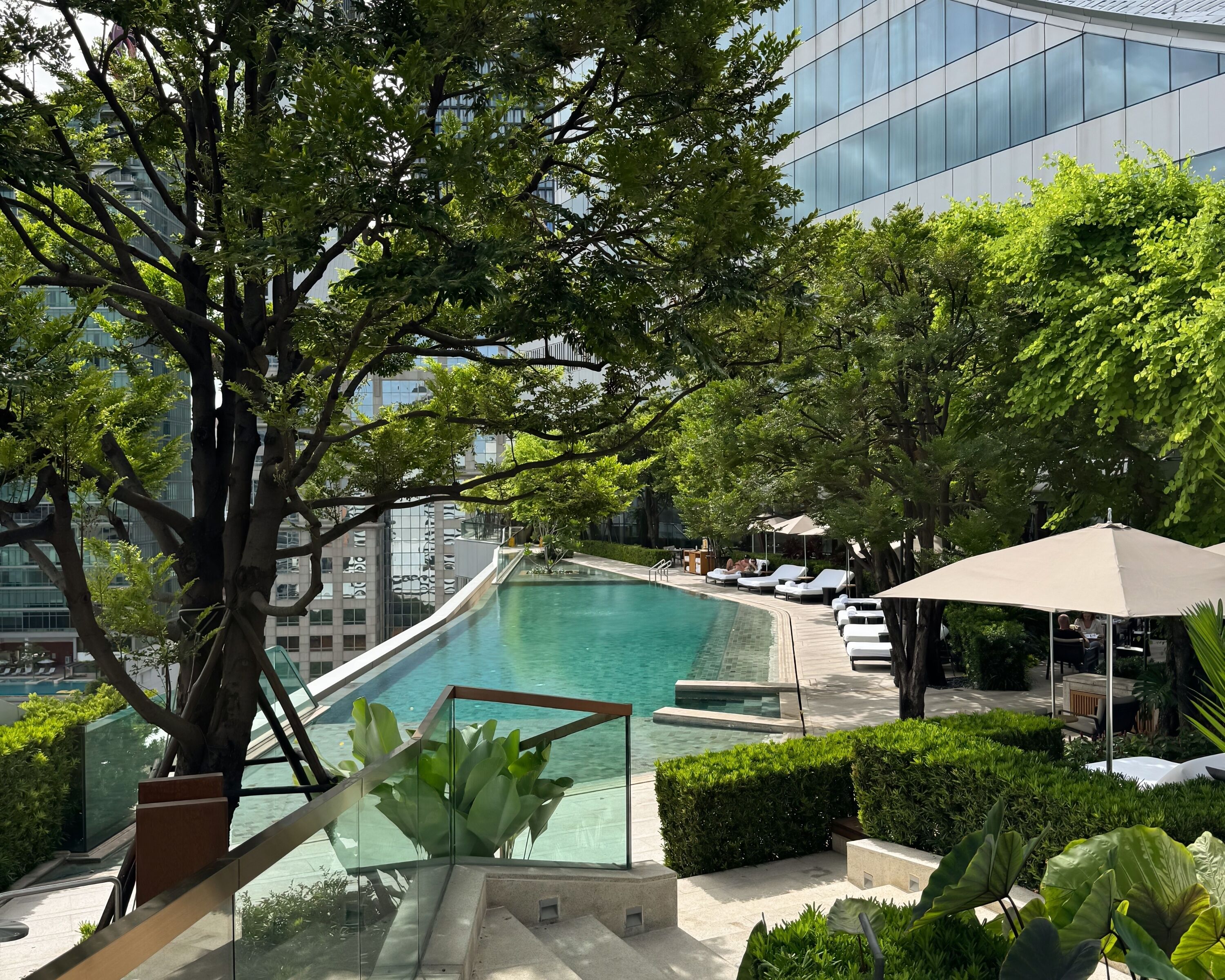 A rooftop pool with glass barriers, lounge chairs, and umbrellas, surrounded by trees and modern buildings.