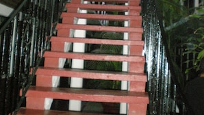 Escadaria