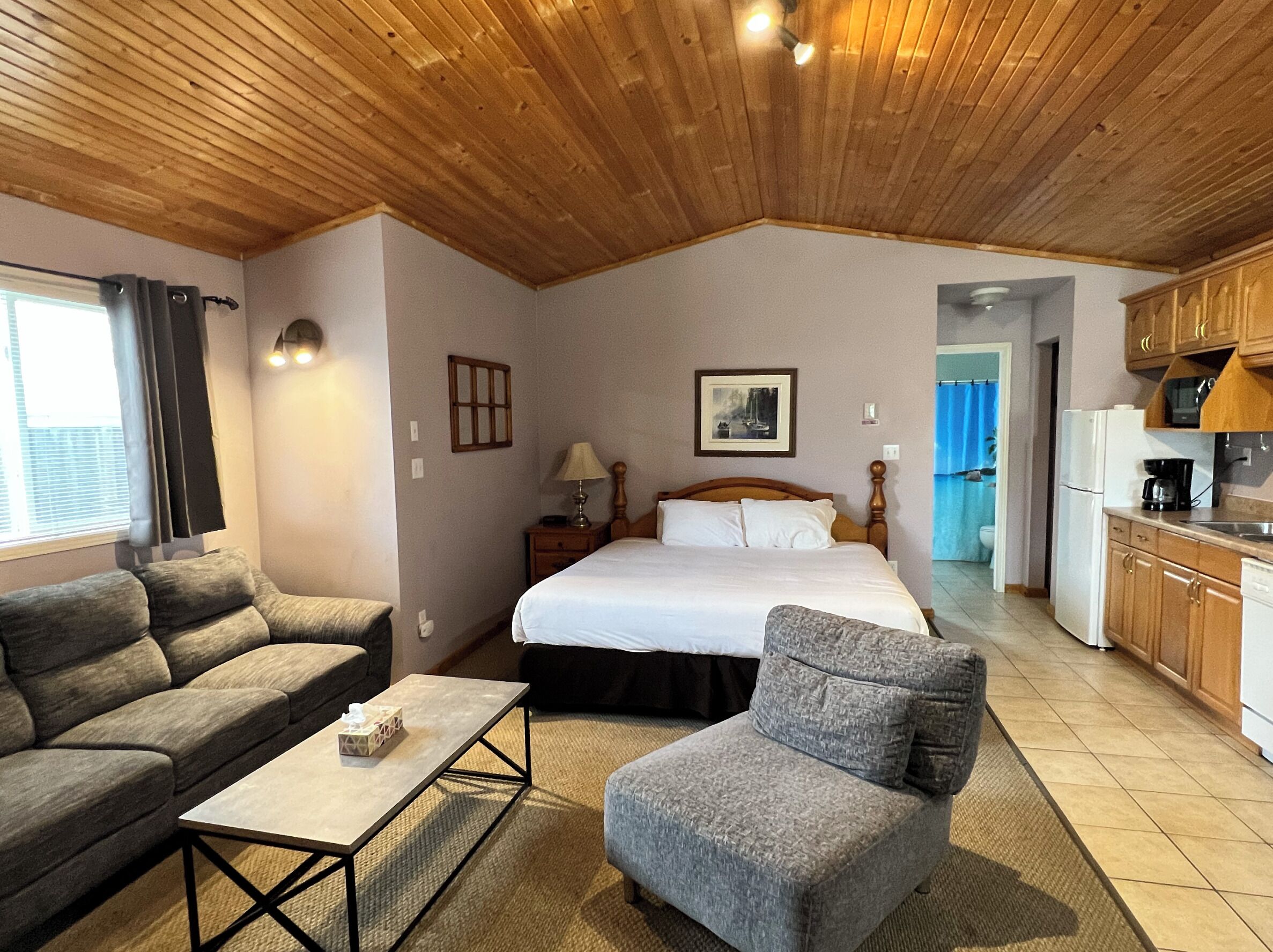 Een gezellige kamer met een bed, een slaapbank, een kleine tafel, een keukenhoek en een badkamer zichtbaar door een geopende deur.