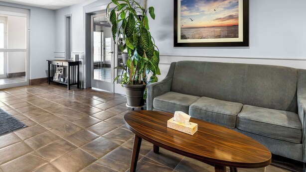A modern interior with a grey sofa, a wooden coffee table with a tissue box, a large potted plant, and a framed sunset painting on the wall. - SureStay Studio by Best Western Hardisty (Hardisty)