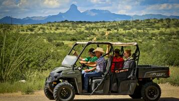 A utility vehicle with a roof and side windows, labeled "RANGER HX4," parked on a dirt road with a mountainous landscape in the background.