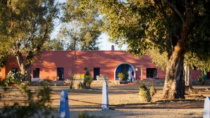 Un bâtiment à la façade rouge, doté de fenêtres en arc de cercle et d’une cour intérieure où l’on trouve des cactus et des arbres.