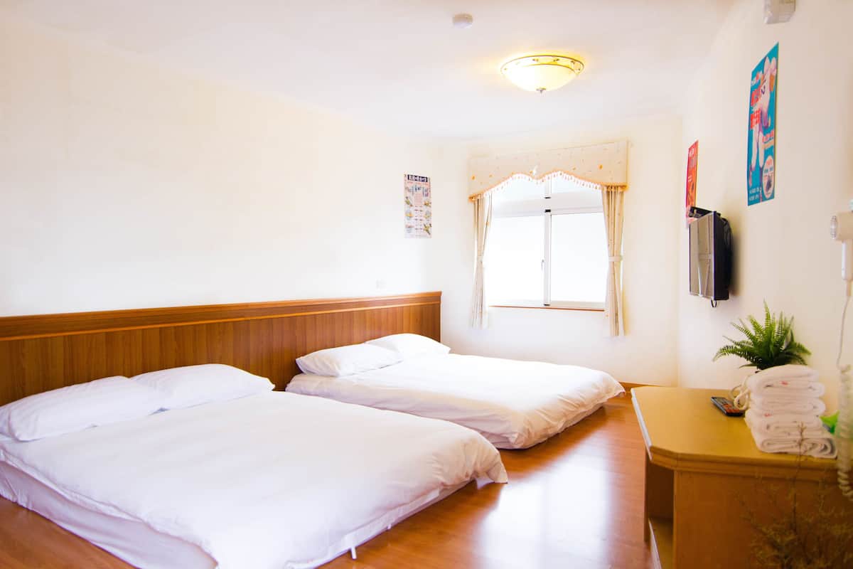 Habitación de hotel con dos camas individuales, cabecero de madera, ventana con cortinas, pequeño escritorio con teléfono y una planta, y un televisor montado en la pared.