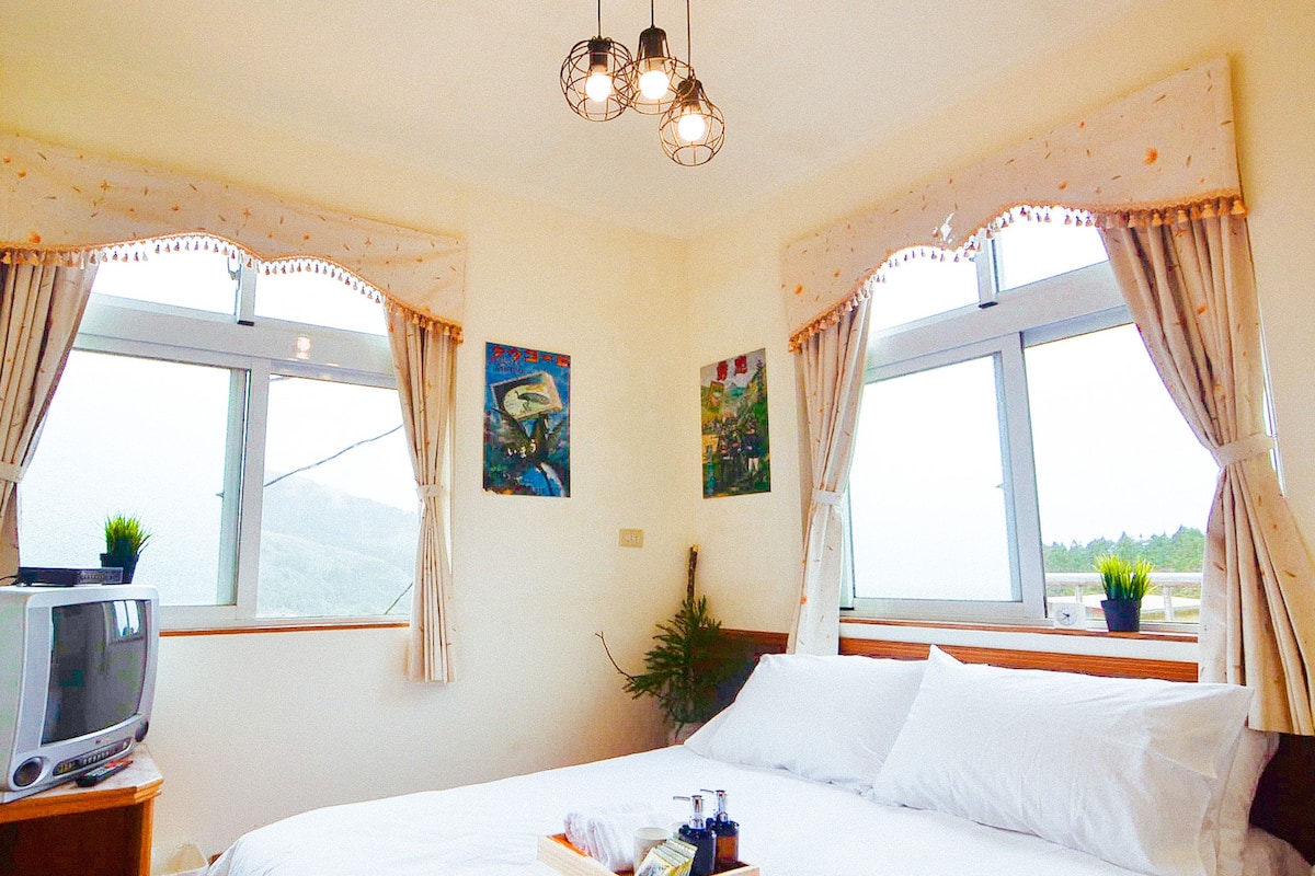 Un dormitorio con una cama, un televisor sobre un mueble bajo y dos ventanas con cortinas.