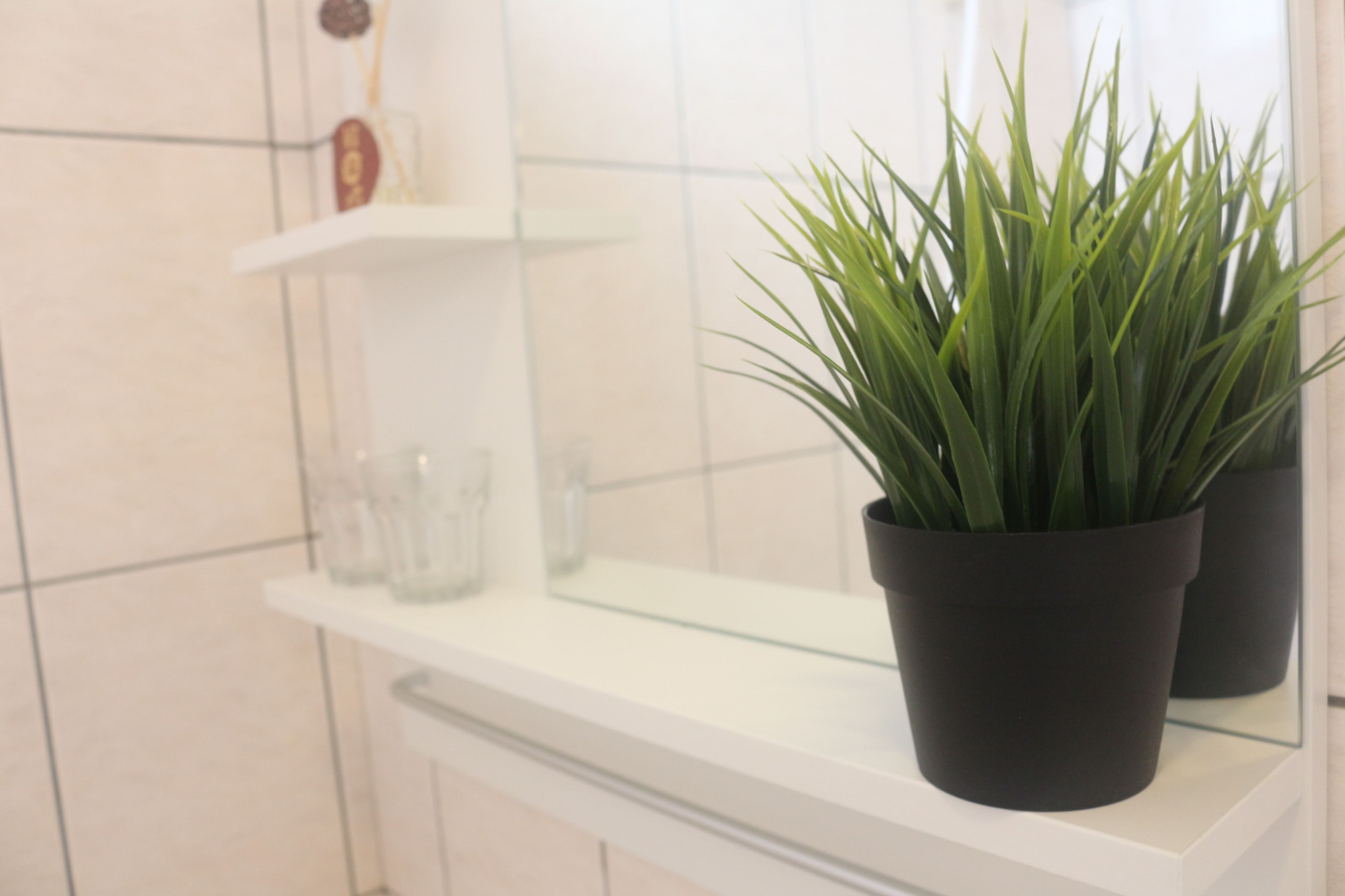 A bathroom with a white countertop, a potted plant, and a glass shower enclosure.