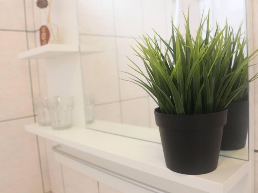 A bathroom with a white countertop, a potted plant, and a glass shower enclosure.