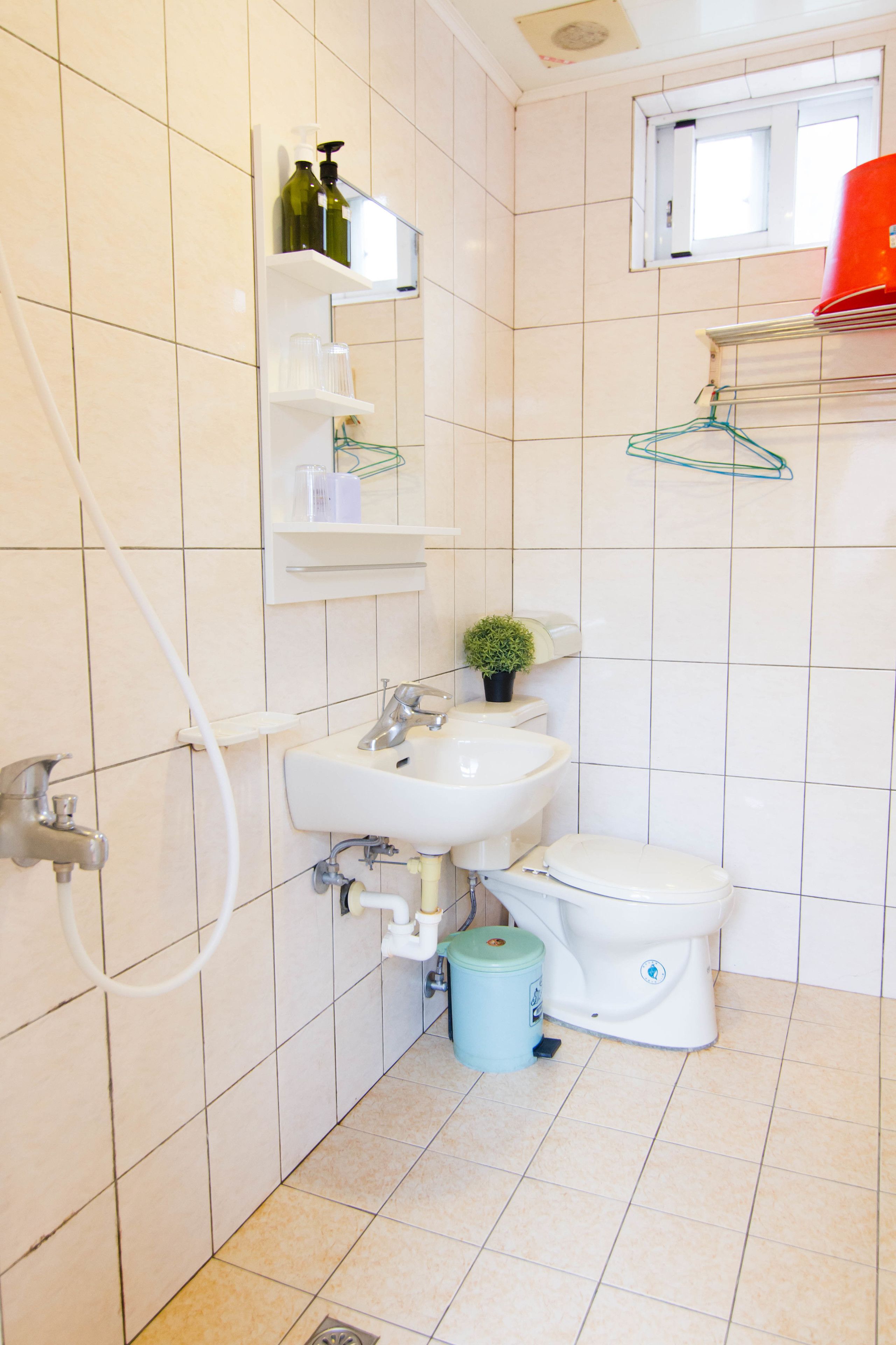 A bathroom with a white sink, toilet, and shower. There are shelves above the sink holding toiletries and a small plant.