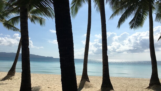 A beach with palm trees and a clear view of the ocean. - Luxx Boutique Boracay (Boracay Island)