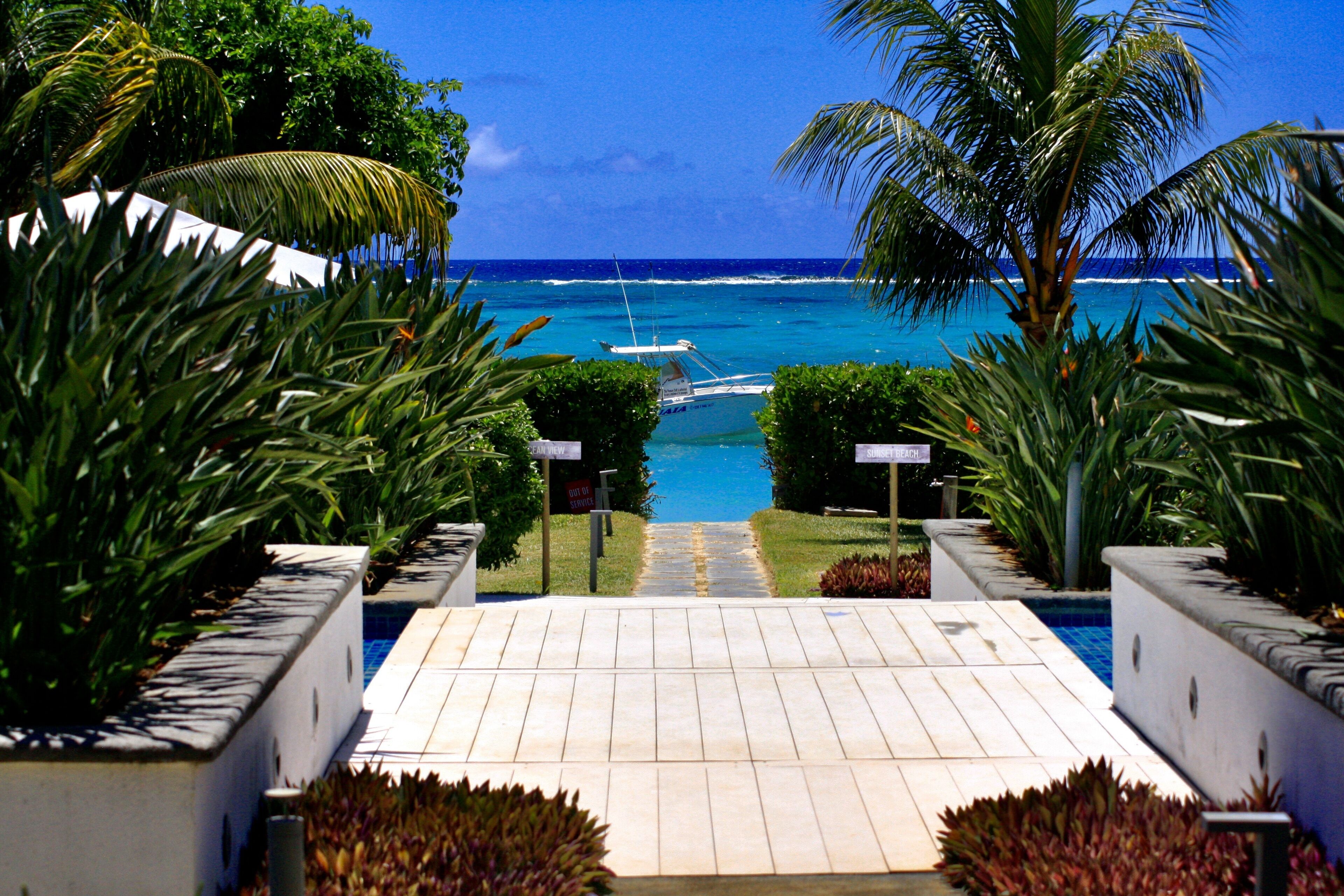 A pathway leading to a pool with a view of the ocean and palm trees.