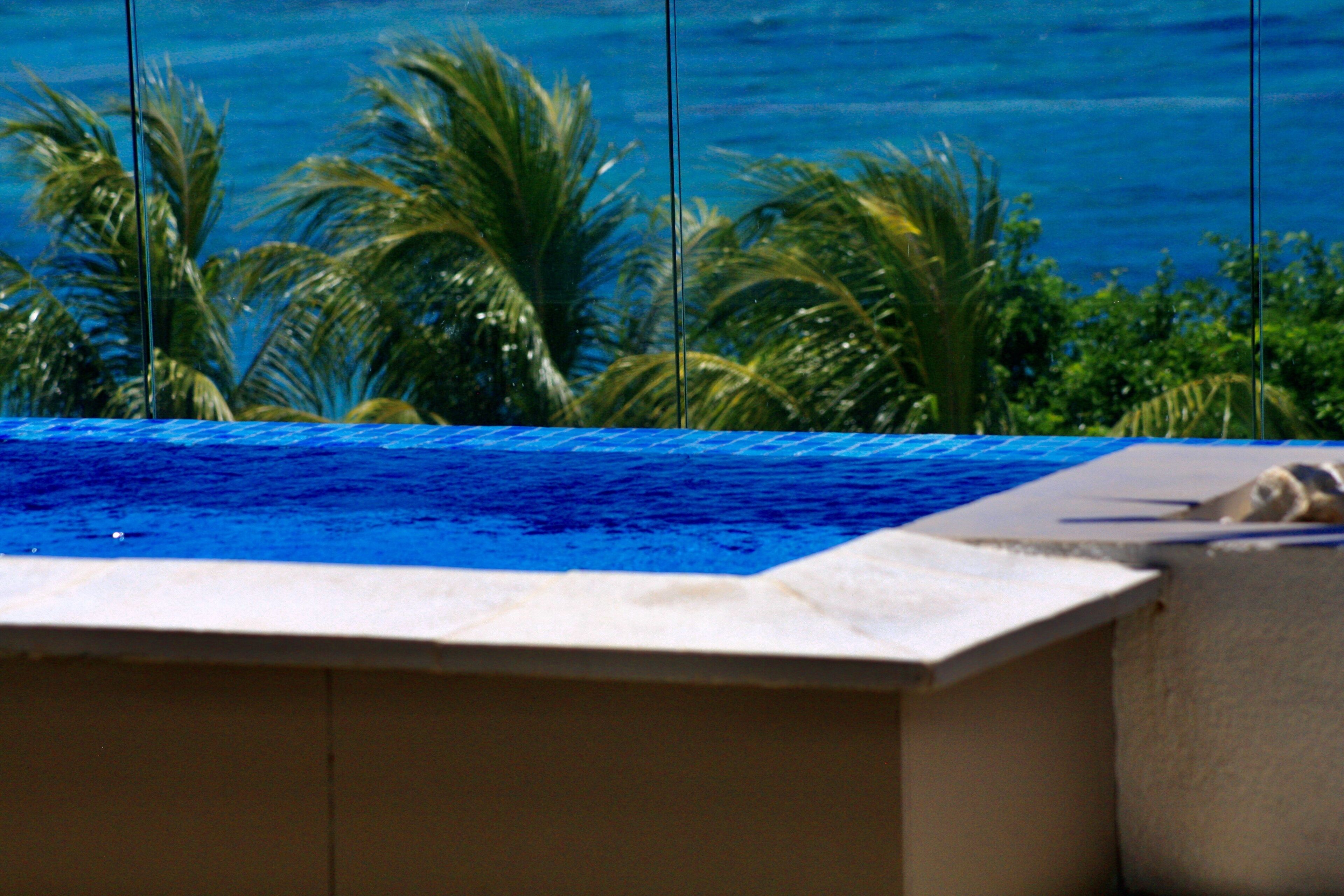 A pool with a clear view of the ocean and palm trees in the background.