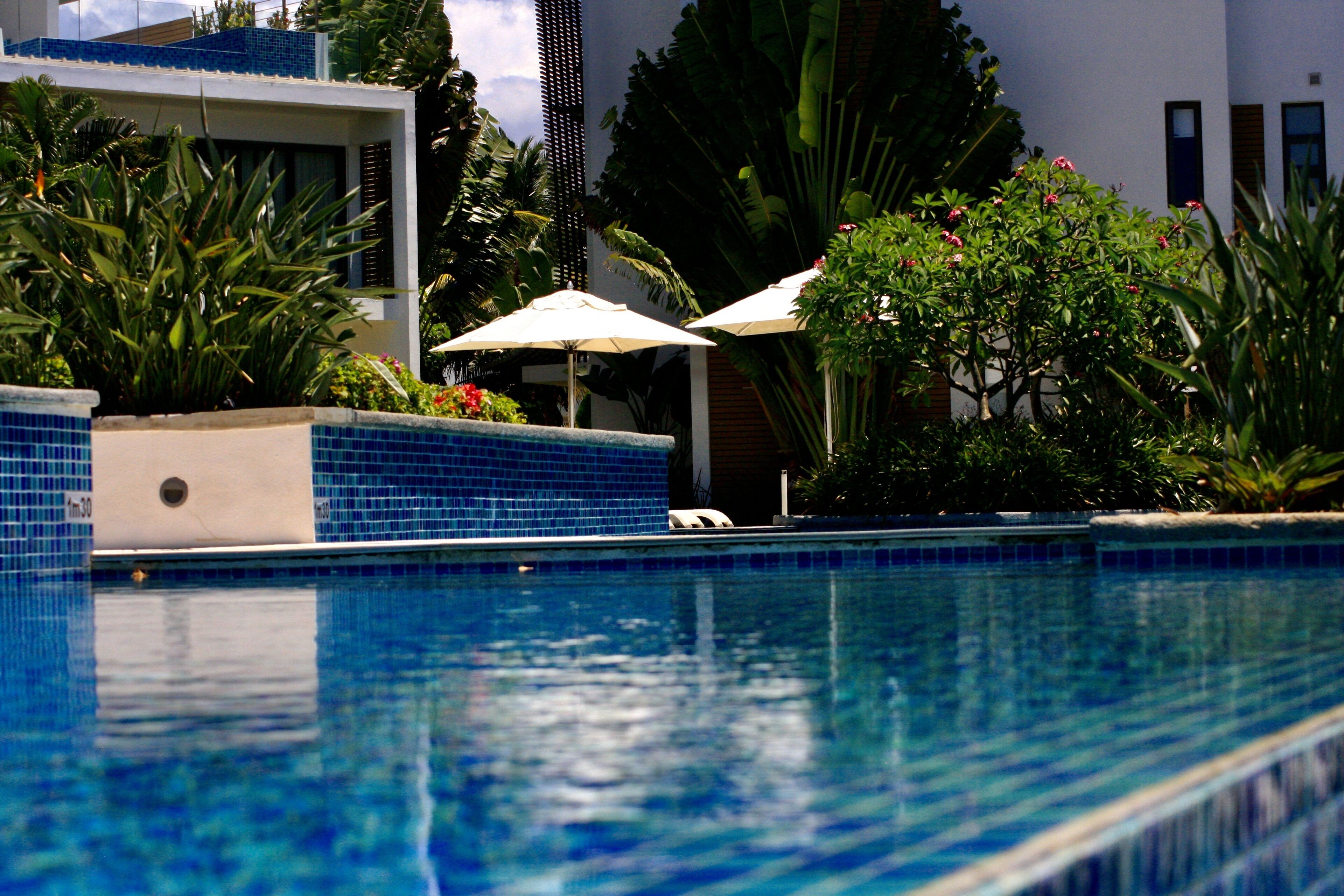 A swimming pool with tiled edges, surrounded by lush greenery and umbrellas.