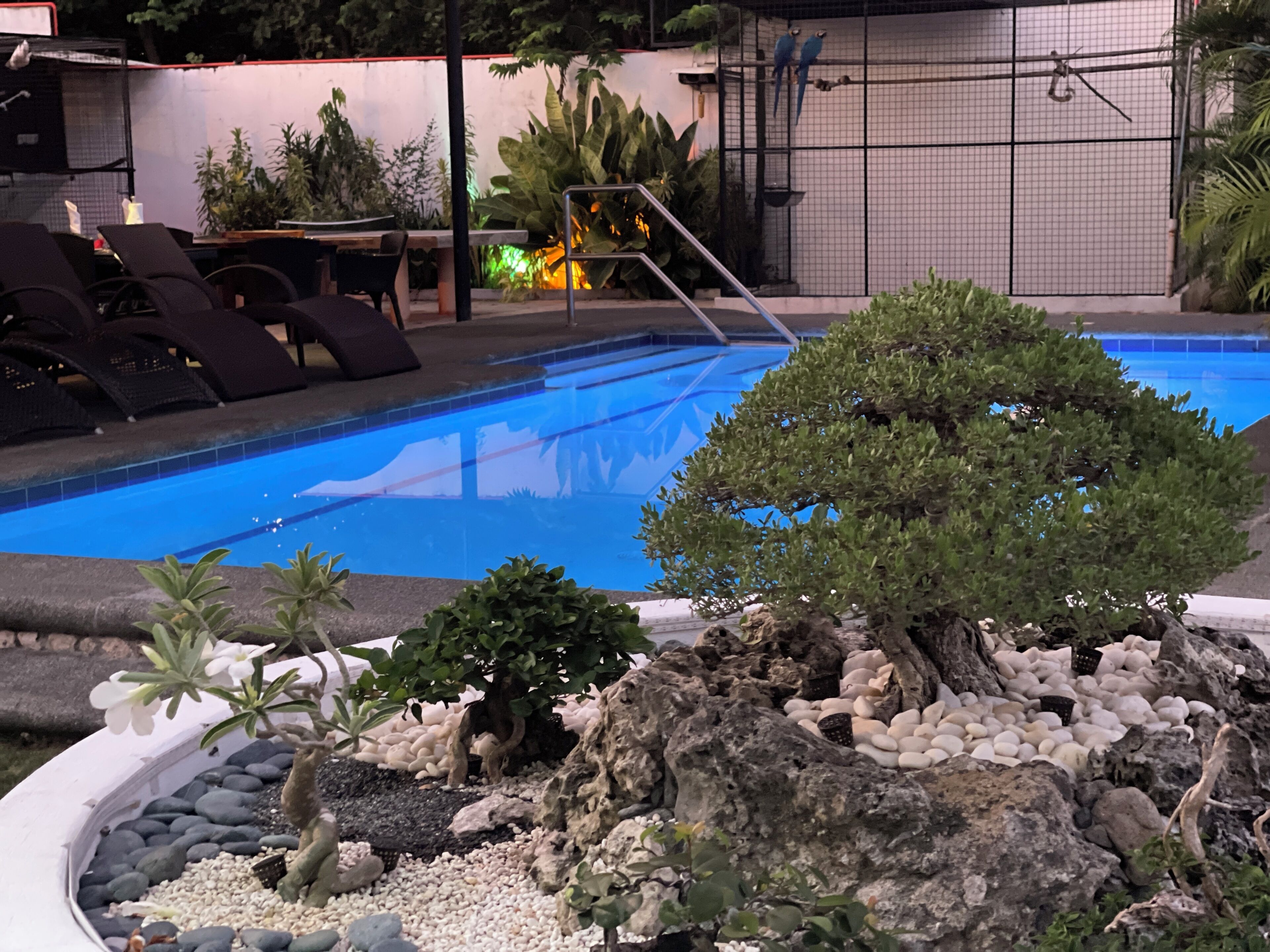 Outdoor pool, open 9:00 AM to midnight, pool umbrellas, sun loungers