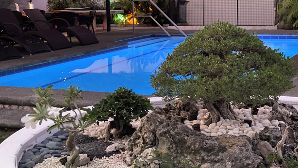 A swimming pool with a rock garden and a bonsai tree. - Parrot Resort Moalboal (Moalboal)