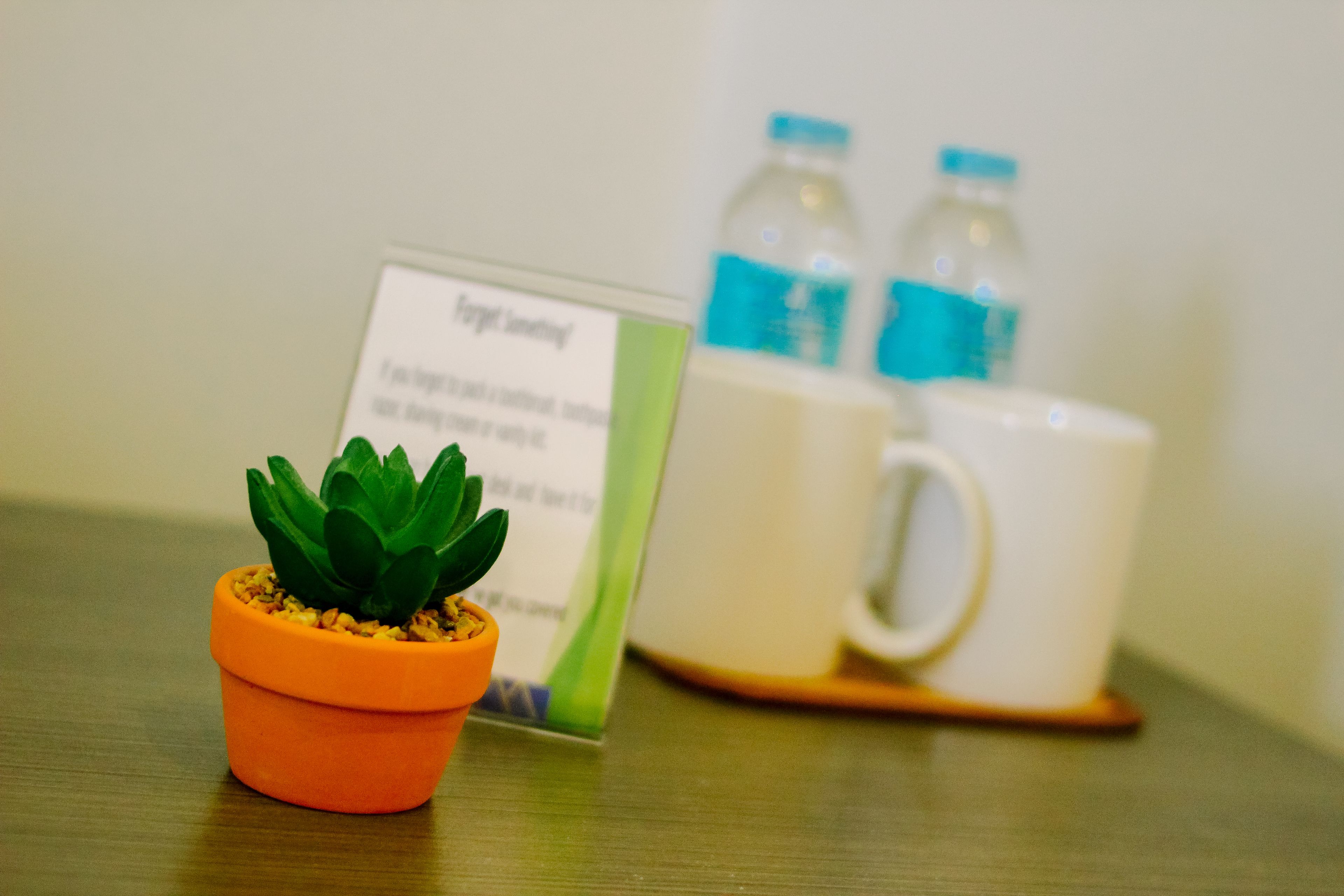 Photo - Mabolo Royal Hotel