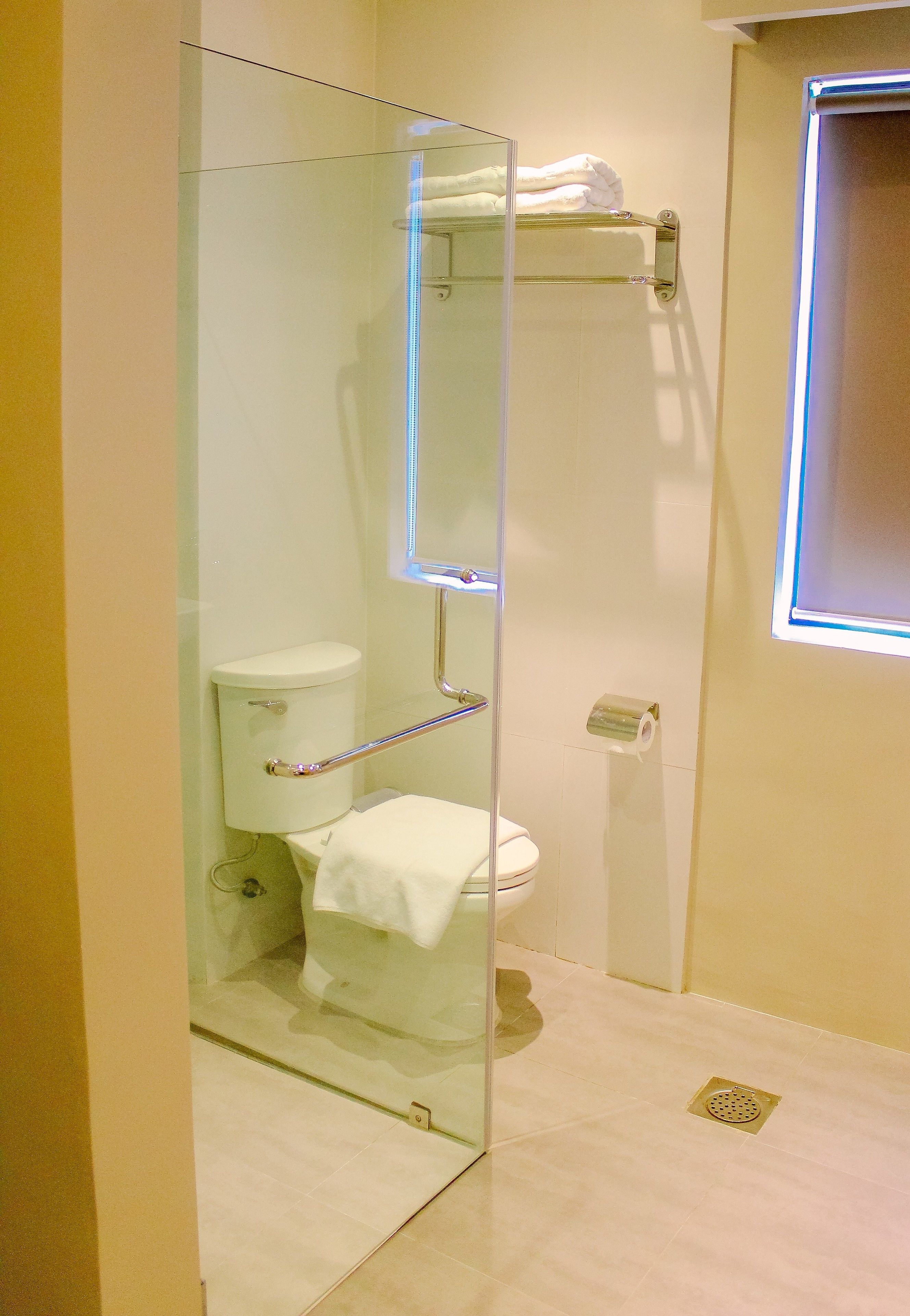 A bathroom with a glass-enclosed shower, a toilet, and a towel rack.