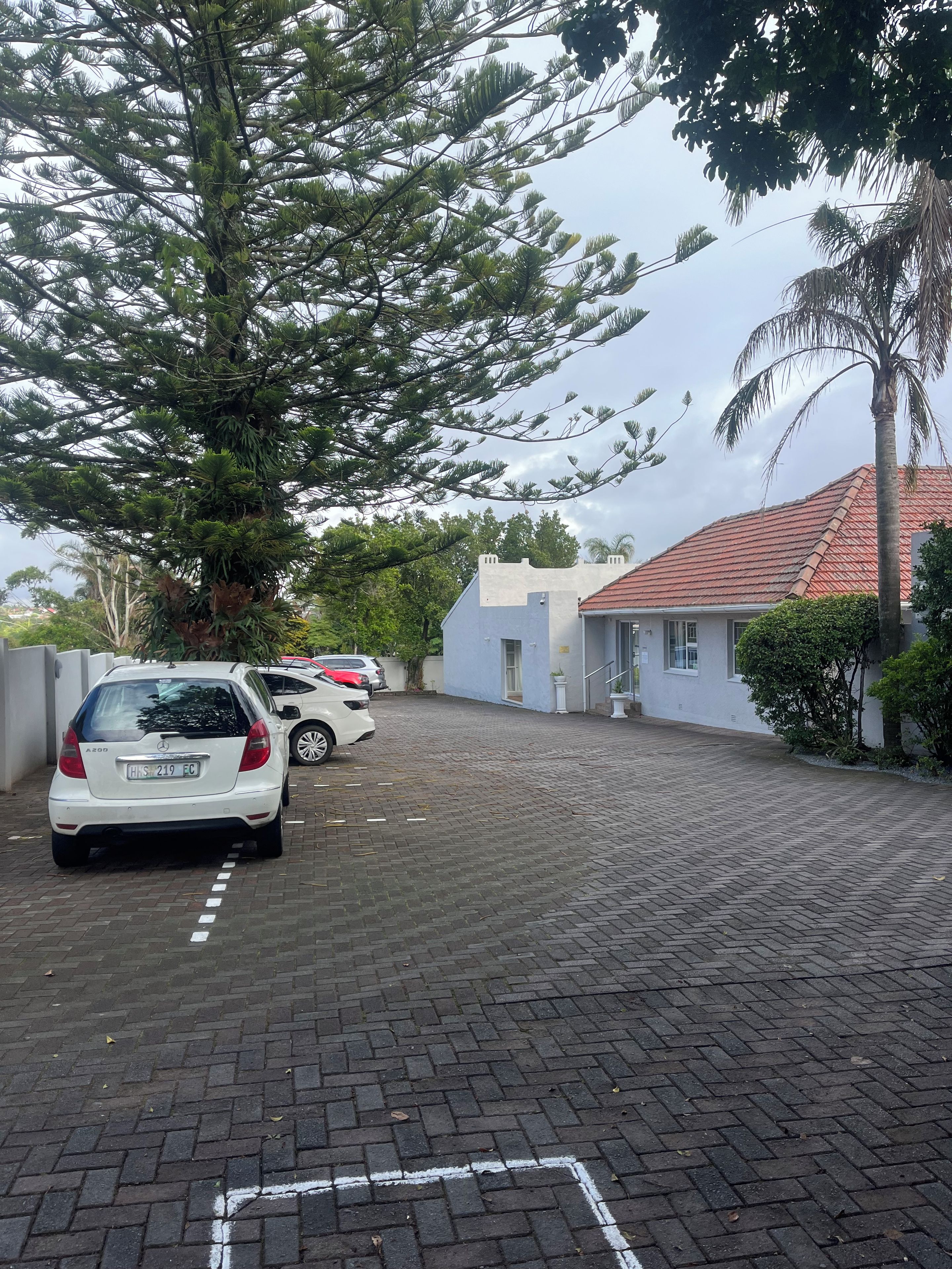 A paved driveway with parked cars, a building with a red-tiled roof, and a large tree.