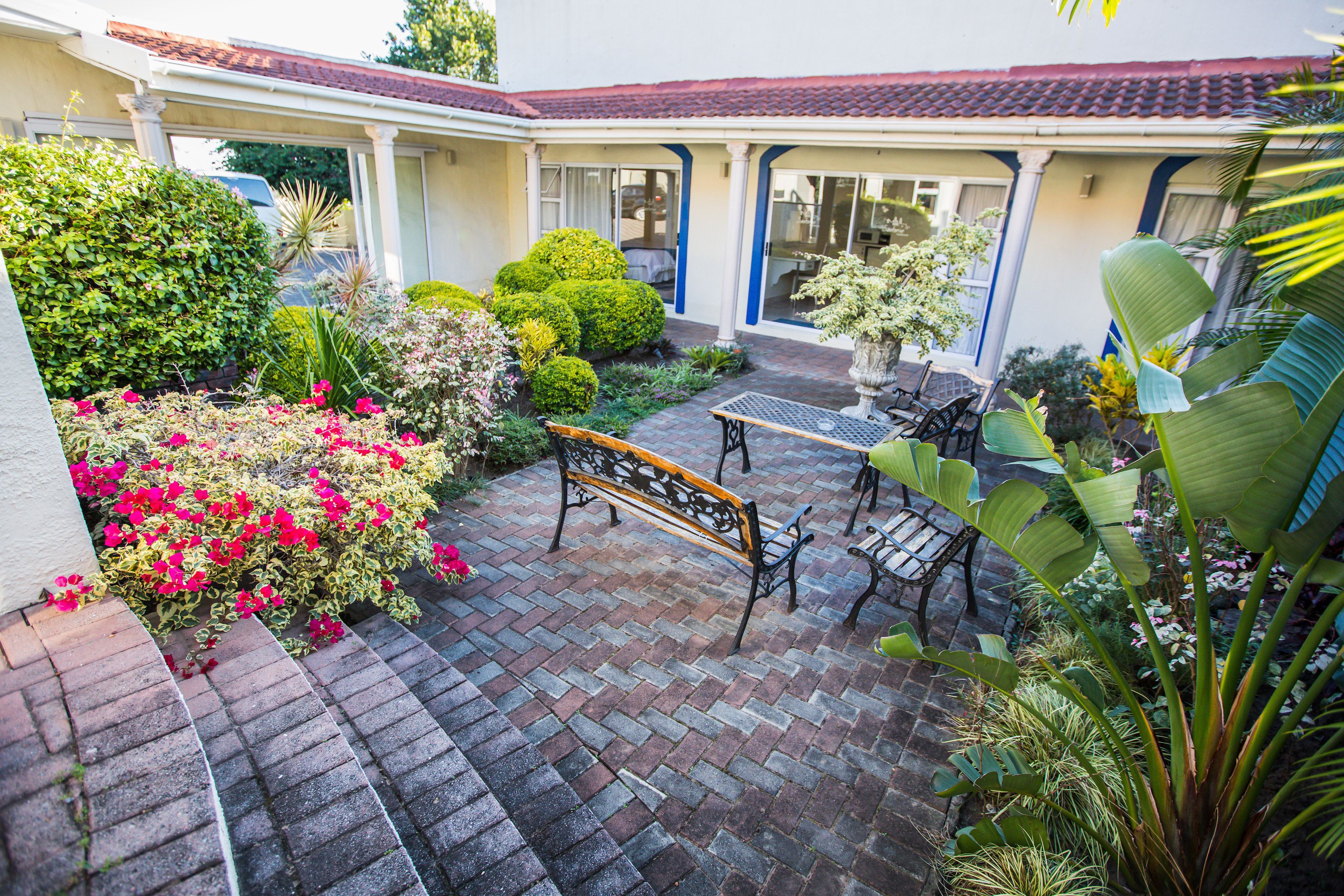 A courtyard with a paved patio, a bench, and various plants.