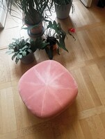 Un pouf rotondo rosa su un pavimento di legno, circondato da diverse piante in vaso.