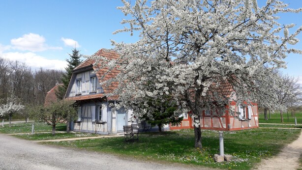 A traditional house with a sloped roof, a visible chimney, and a small porch with a bench. - Les Loges de l'Ecomusée D'Alsace (Ungersheim)