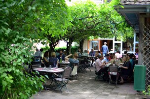Un área de comedor al aire libre con mesas y sillas, rodeada de follaje y un edificio al fondo.