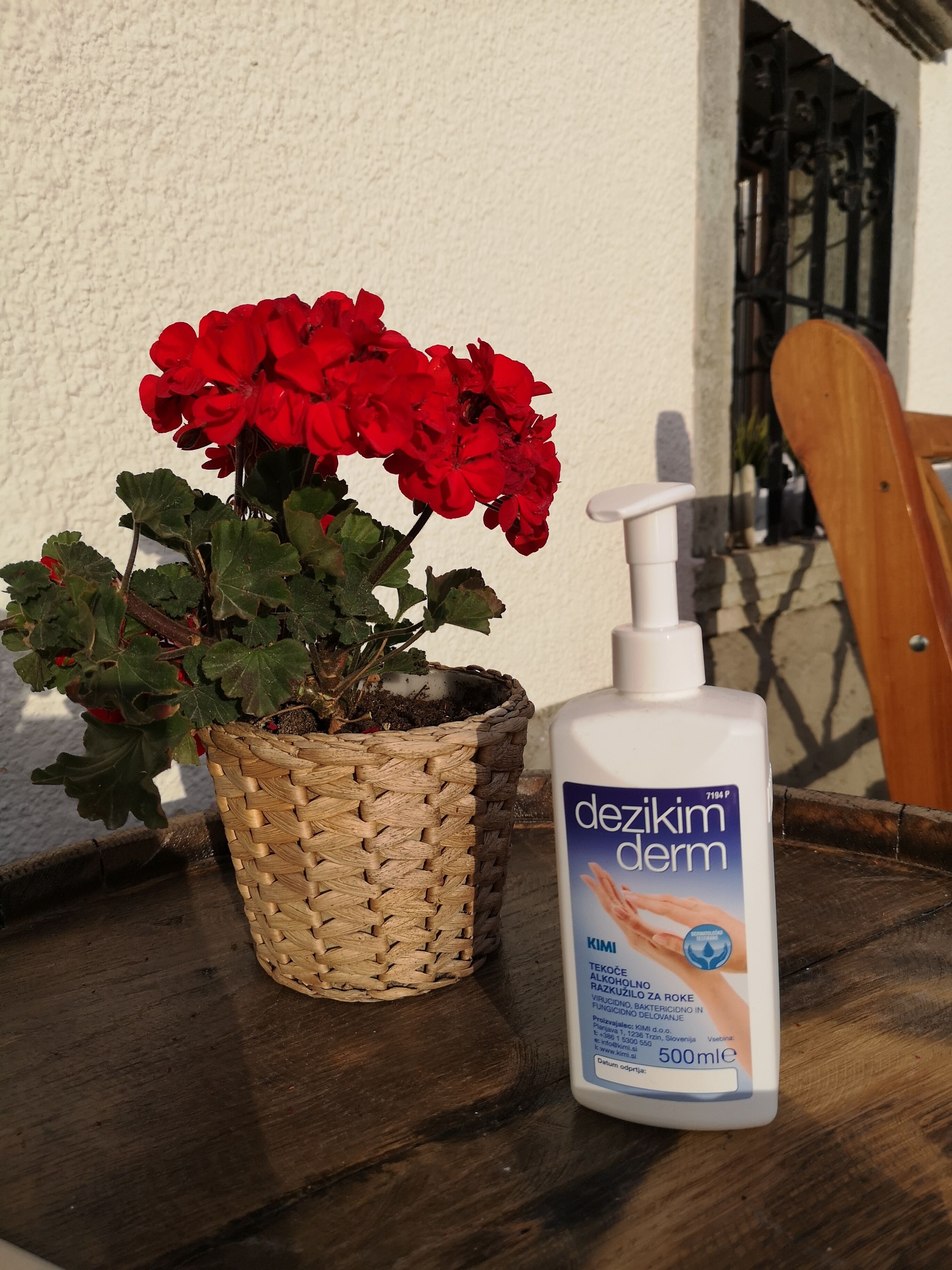 Photo - Old Bled House