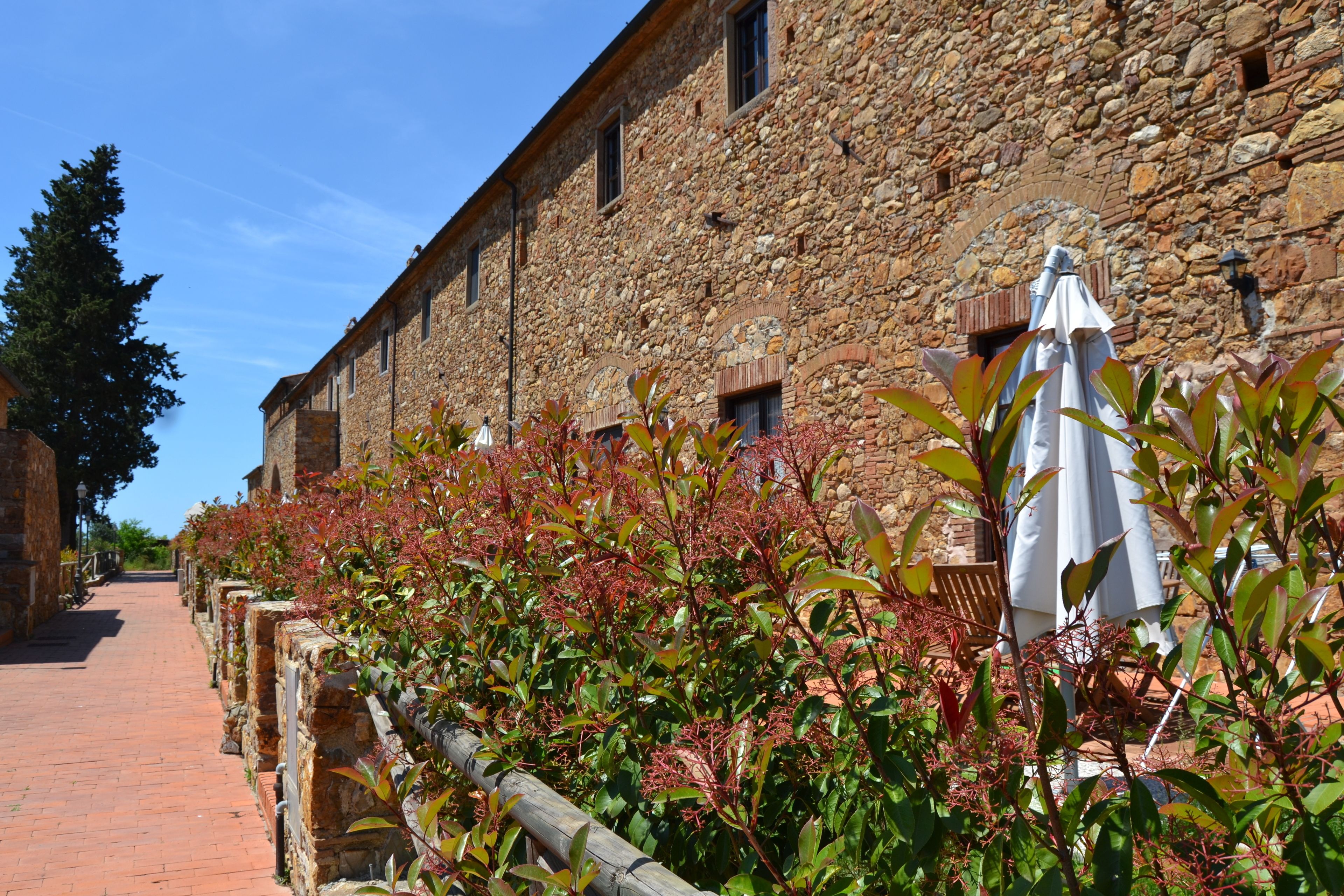 A stone building with a brick pathway and red-leaved plants.
