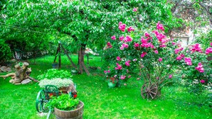 A lush garden with a variety of plants and flowers, a wooden wheelbarrow, and a rustic bench. - Hotel Pine (Skopje)