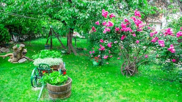 Jardín