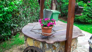 A rustic gazebo with a stone base and a wooden roof, surrounded by lush greenery. - Hotel Pine (Skopje)
