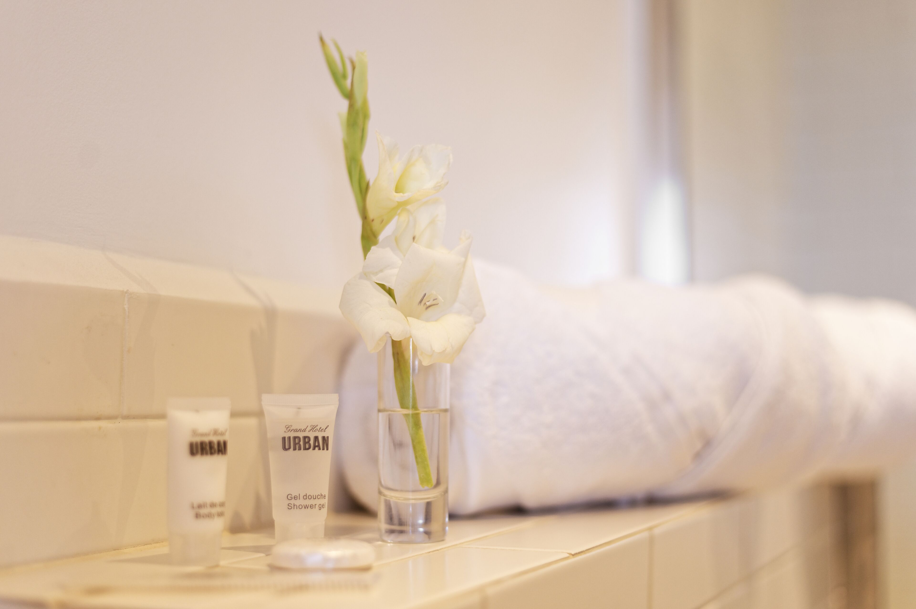 standard room, 1 double bed | 1 bedroom, premium bedding, in-room safe, blackout curtains