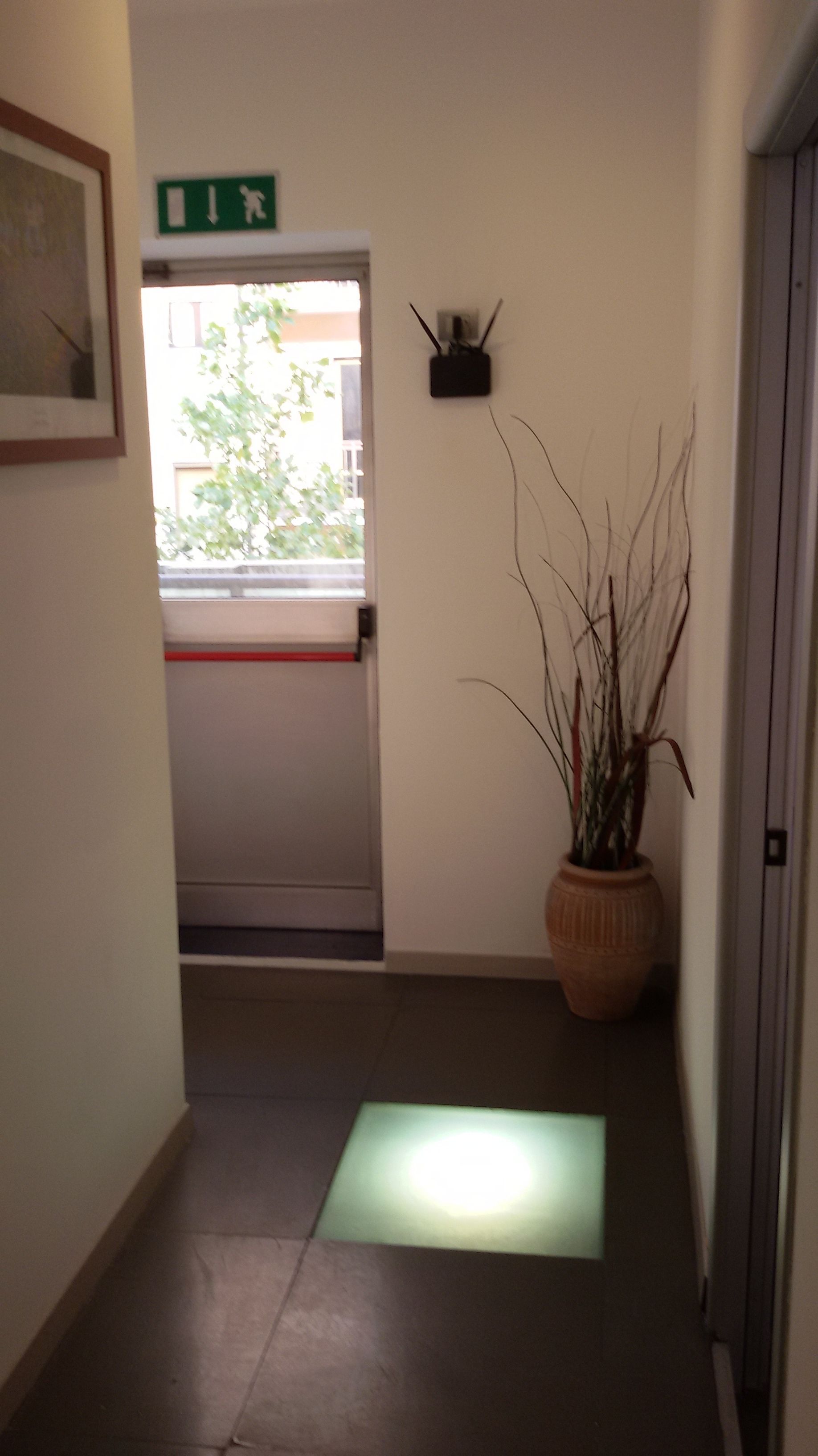 A hallway with a door, a potted plant, and a green exit sign.