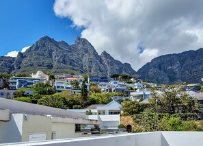 Un barrio residencial con casas modernas, una montaña destacada al fondo y abundante vegetación.