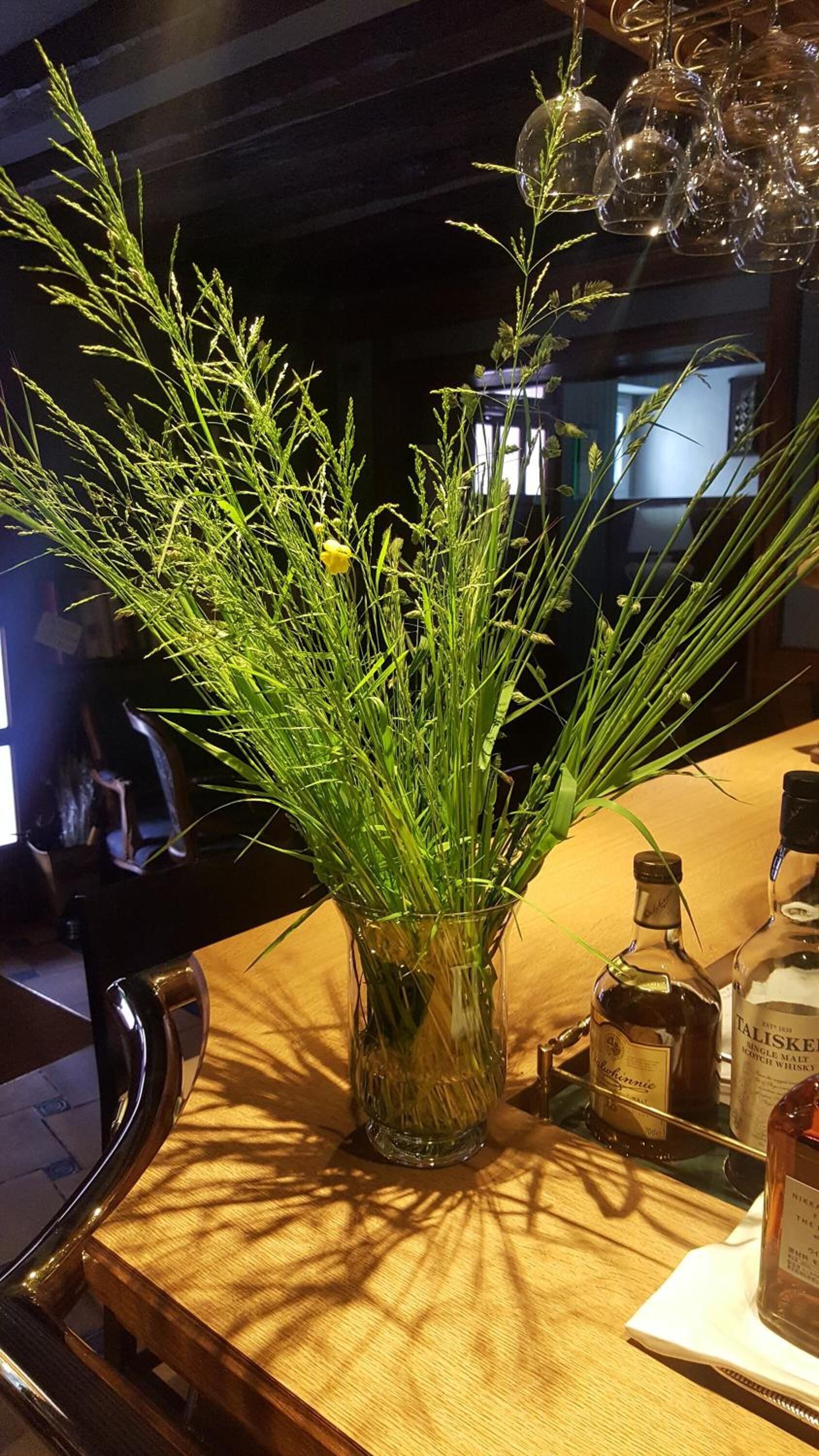 lunch and dinner served, french cuisine