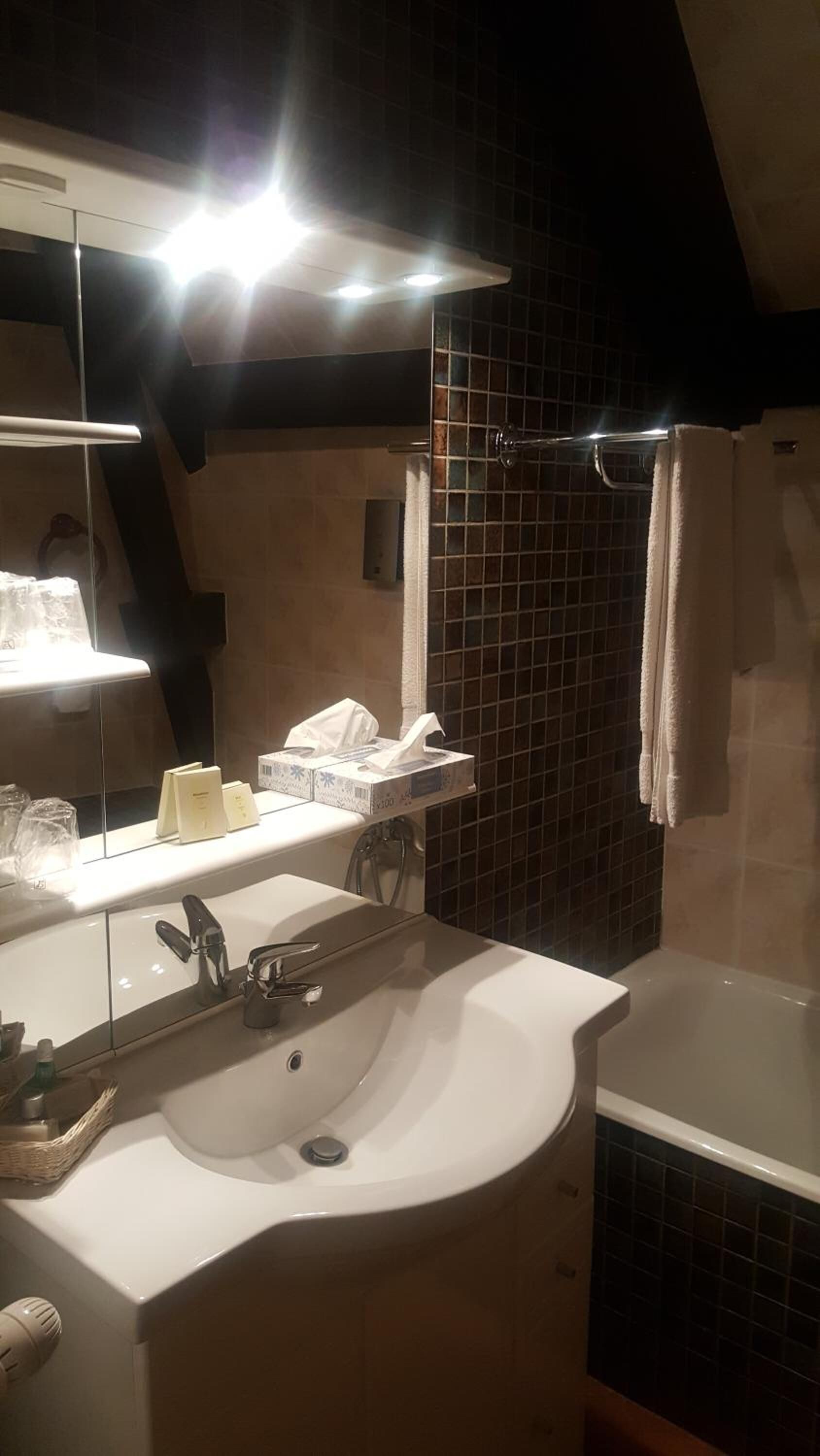 free toiletries, hair dryer, dressing gowns, towels