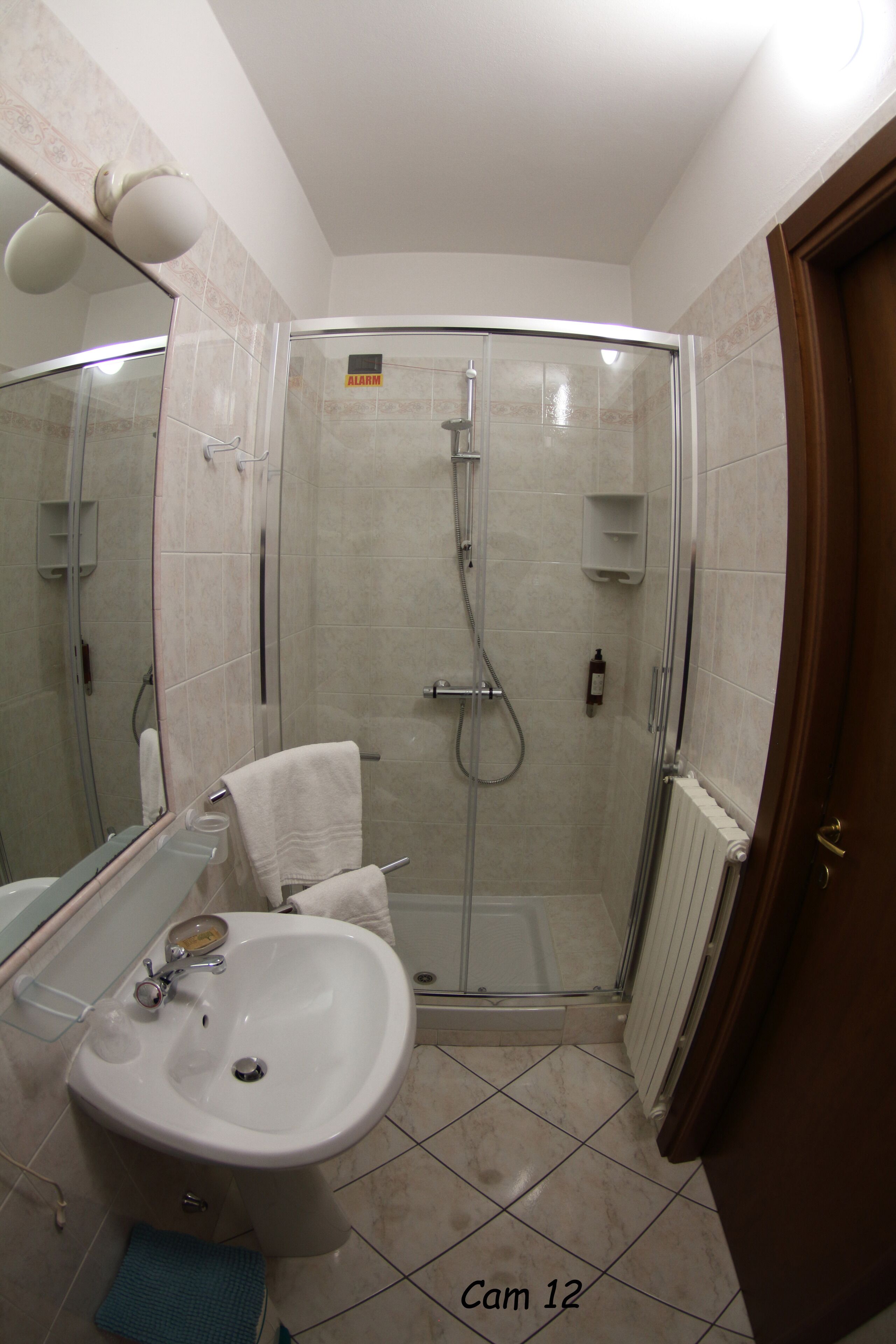 A bathroom with a glass-enclosed shower, a sink, and a mirror.