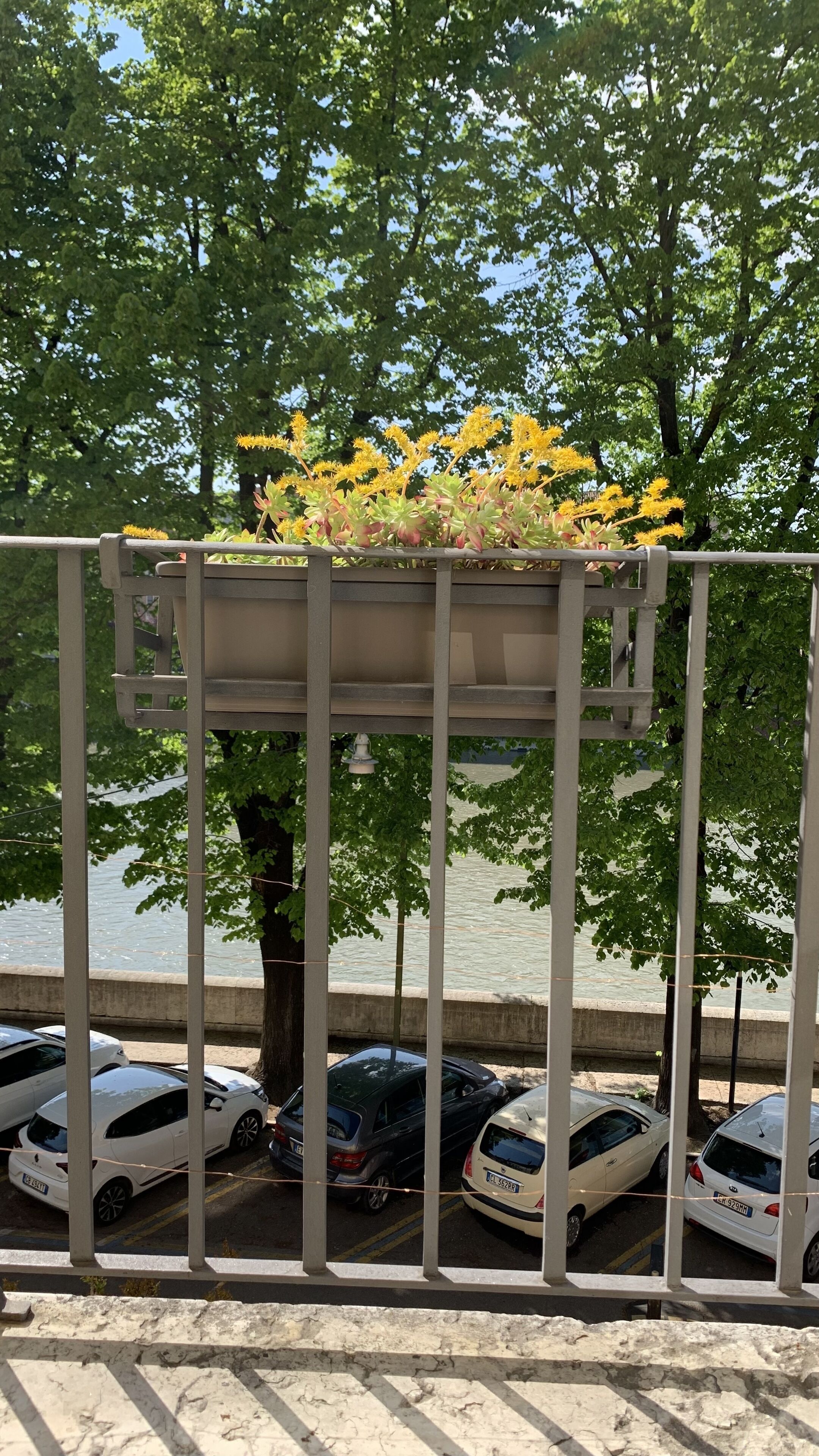 Foto - Notti sull'Adige