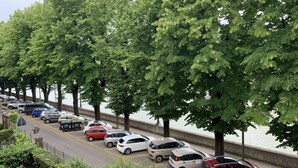 Una hilera de coches aparcados a lo largo de la costa, bordeada de árboles y una barrera de hormigón.