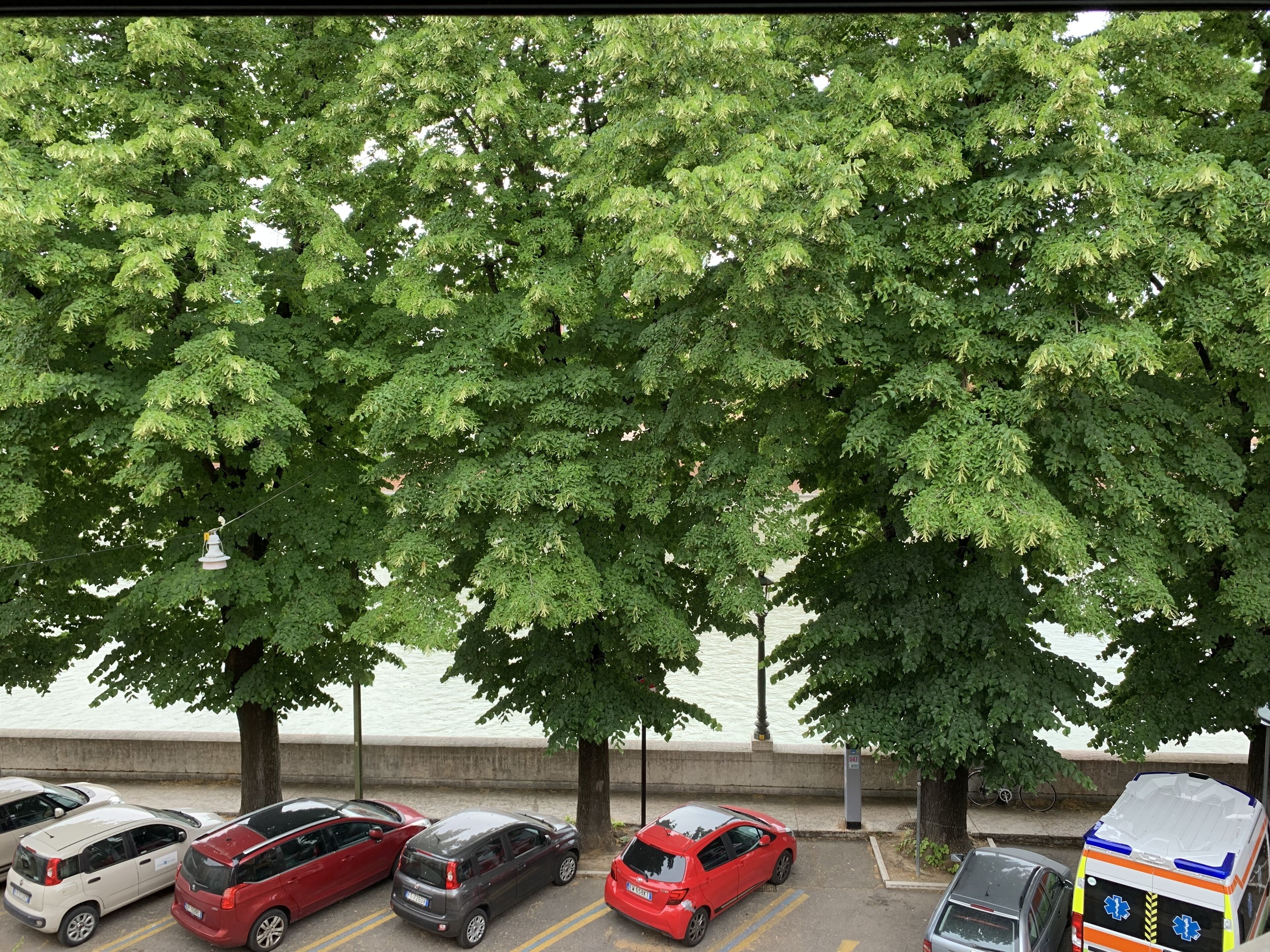 Foto - Notti sull'Adige