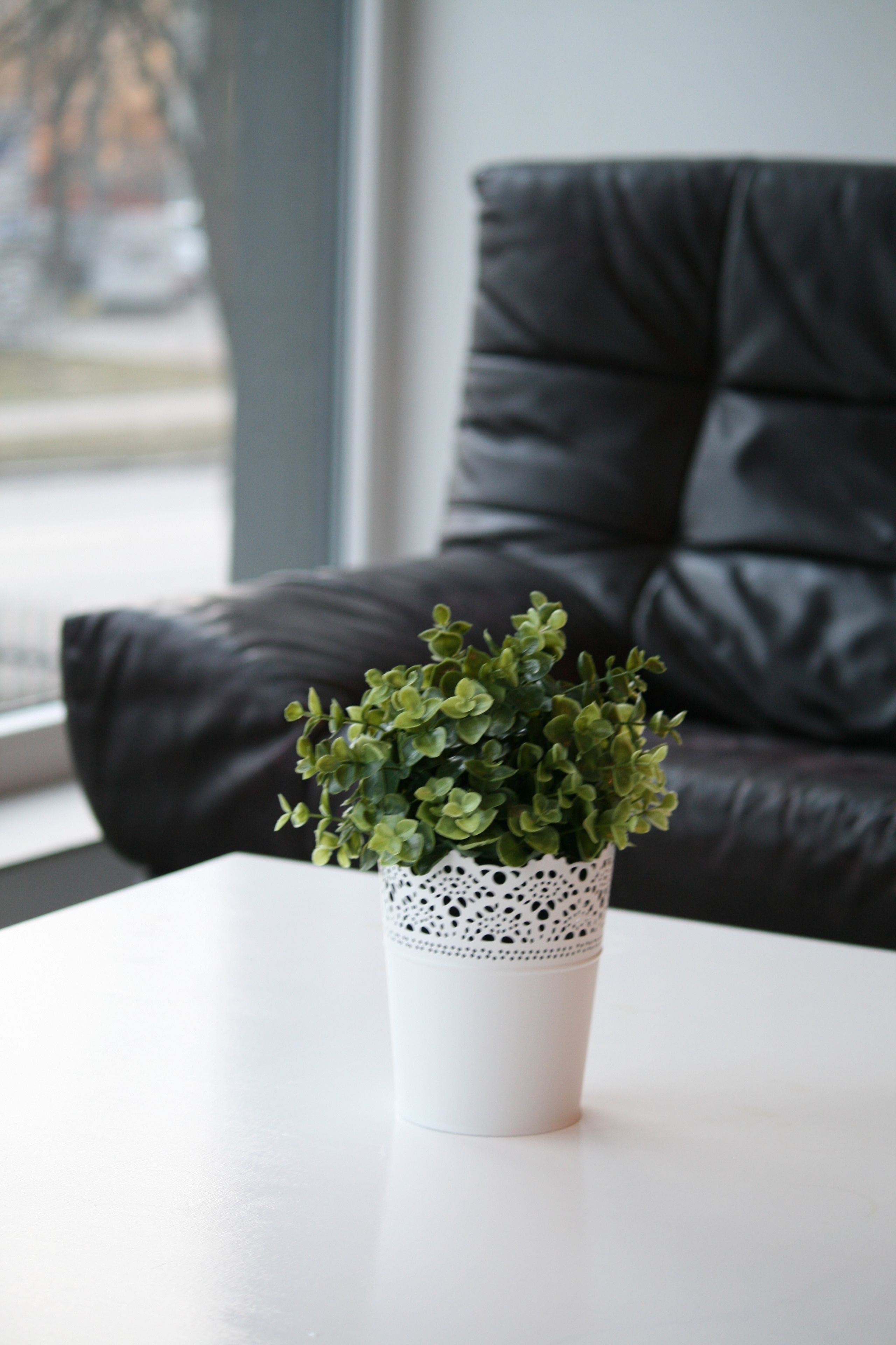 Photo - Arcus Premium Hostel