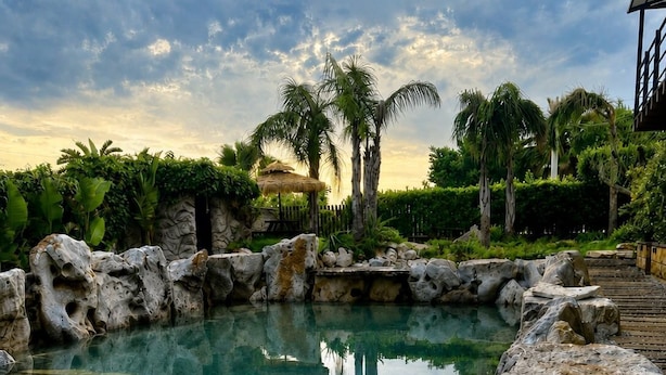 A clear pool surrounded by rocks and palm trees. - Villa Rosa dei Venti (Cinisi)
